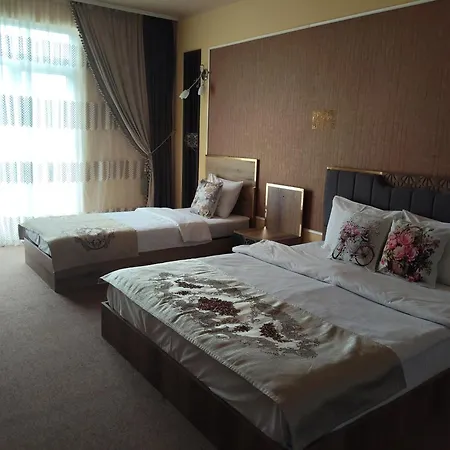 Guest house Maria Cristian (Sibiu)